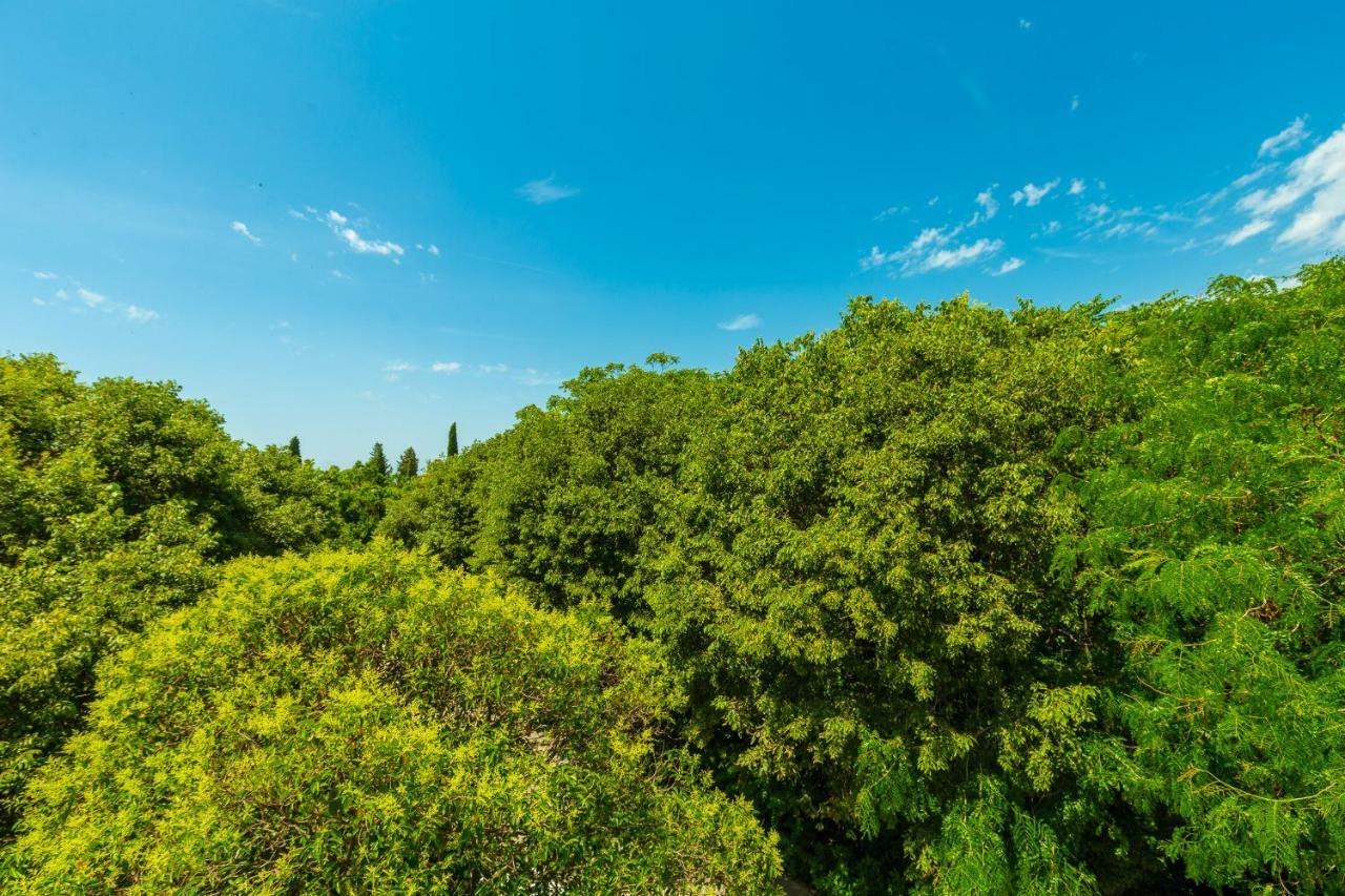 Hedera Estate, Hedera A1 Apartment Dubrovnik Bagian luar foto